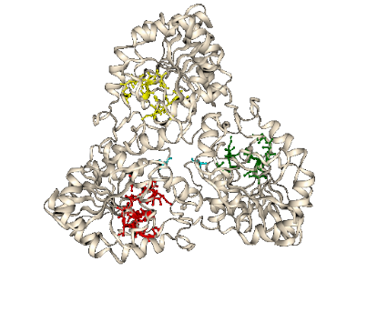 Clustering predicted residues into groups